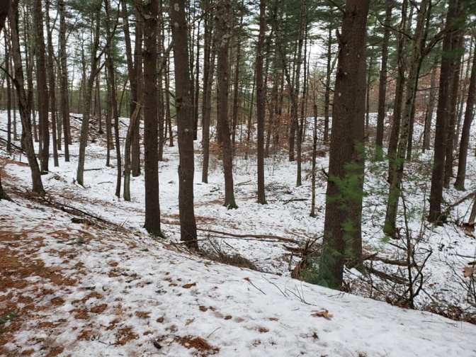 Westford, borrow pit