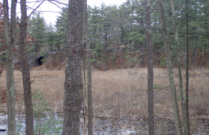 Westford Bridge and Fill